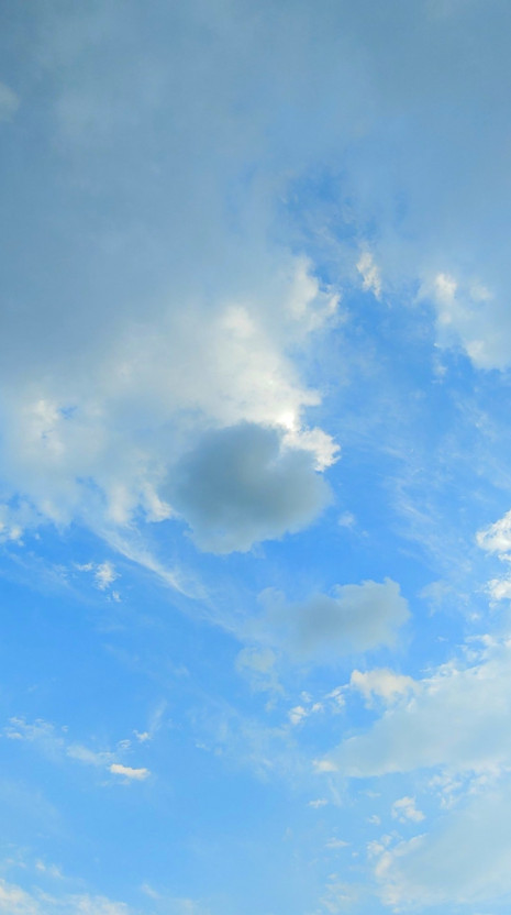 테스트상품 038 전체카테고리 옵션유